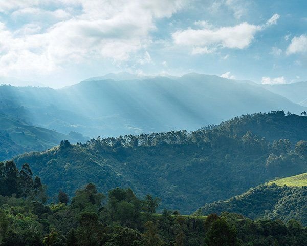 Rolling hills in South America